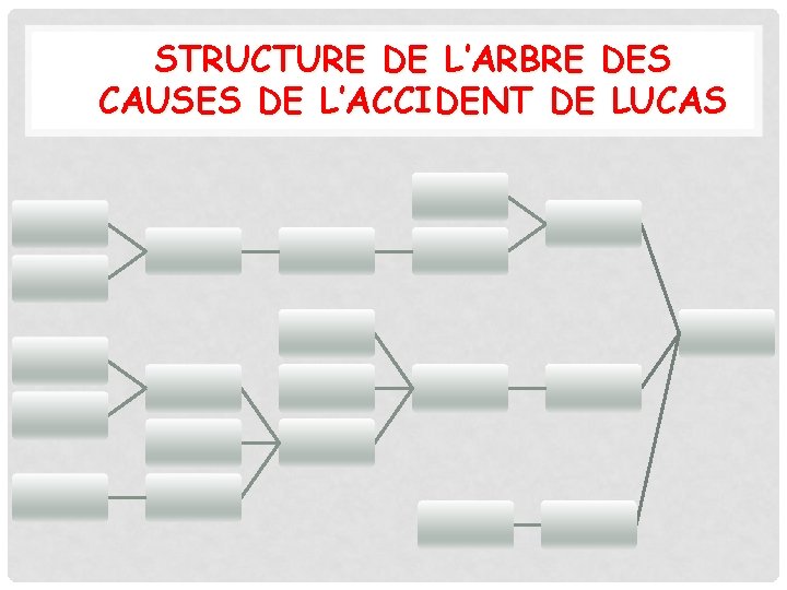 STRUCTURE DE L’ARBRE DES CAUSES DE L’ACCIDENT DE LUCAS 