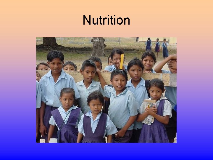 Nutrition 