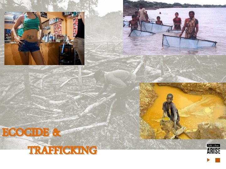 ECOCIDE & TRAFFICKING 