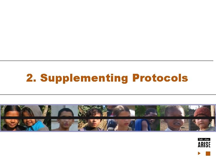 2. Supplementing Protocols 2. Supplementing Protocols