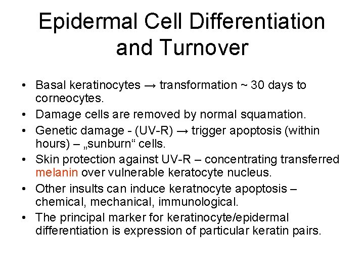Epidermal Cell Differentiation and Turnover • Basal keratinocytes → transformation ~ 30 days to