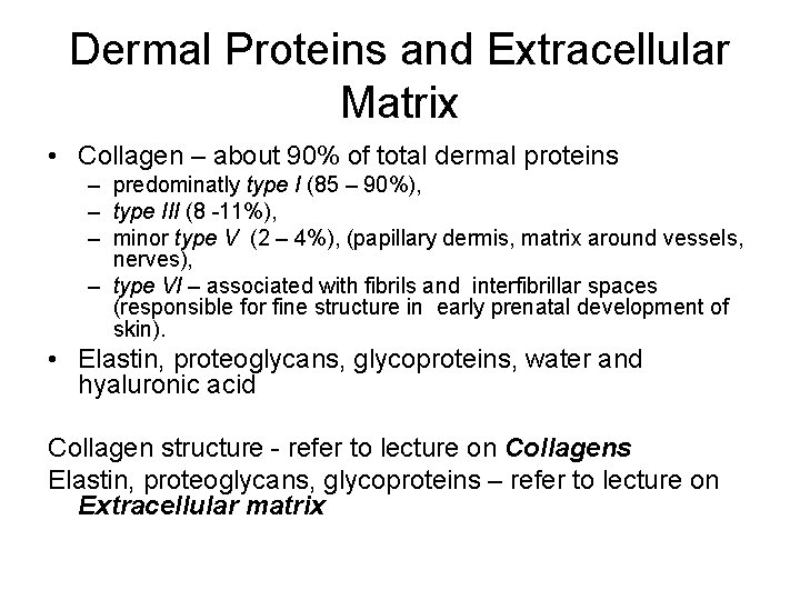 Dermal Proteins and Extracellular Matrix • Collagen – about 90% of total dermal proteins