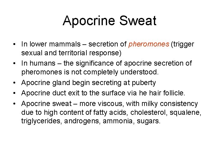 Apocrine Sweat • In lower mammals – secretion of pheromones (trigger sexual and territorial