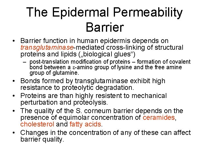 The Epidermal Permeability Barrier • Barrier function in human epidermis depends on transglutaminase-mediated cross-linking