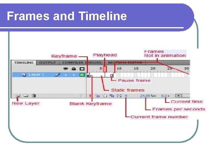 Frames and Timeline 