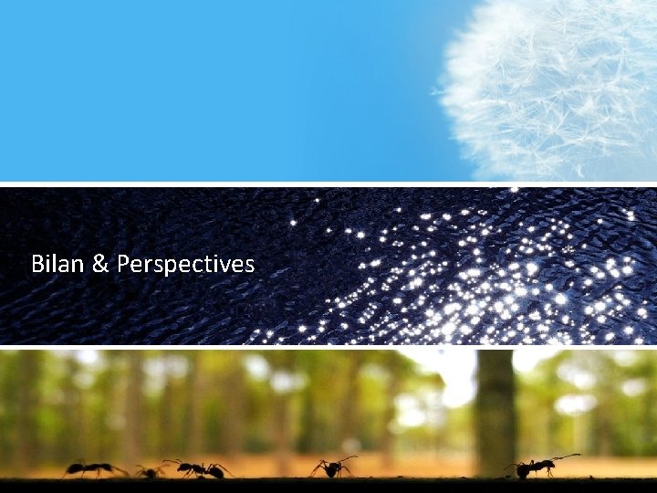 Bilan & Perspectives 12 