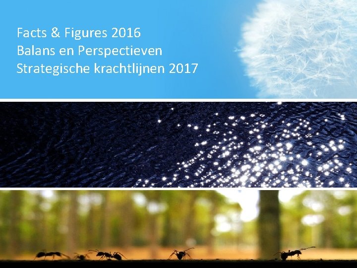 Facts & Figures 2016 Balans en Perspectieven Strategische krachtlijnen 2017 2 
