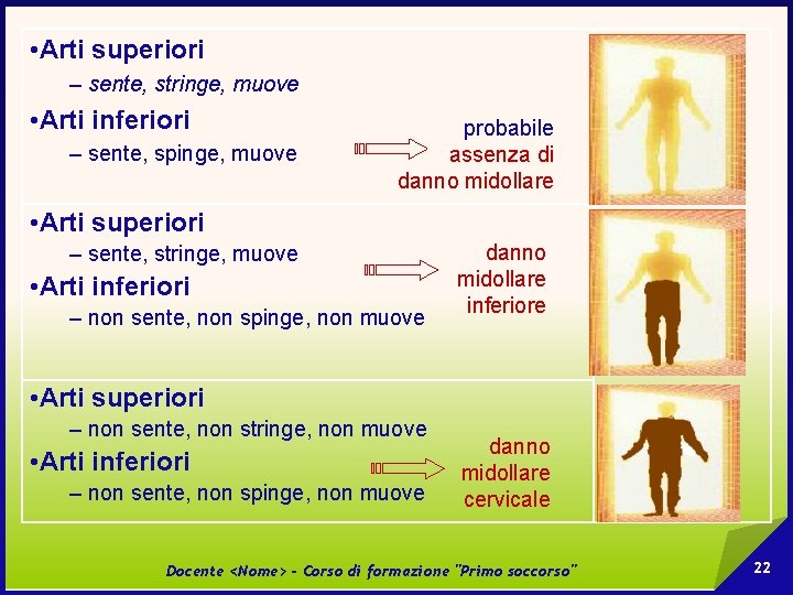  • Arti superiori – sente, stringe, muove • Arti inferiori – sente, spinge,