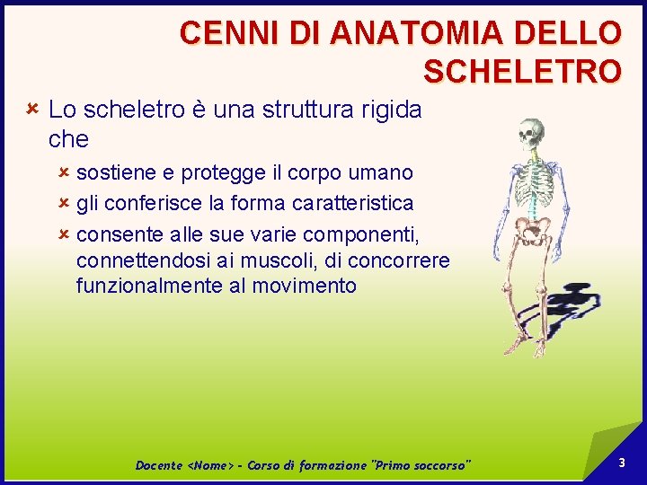 CENNI DI ANATOMIA DELLO SCHELETRO û Lo scheletro è una struttura rigida che û