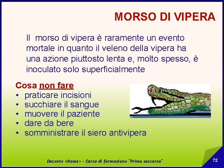 MORSO DI VIPERA Il morso di vipera è raramente un evento mortale in quanto