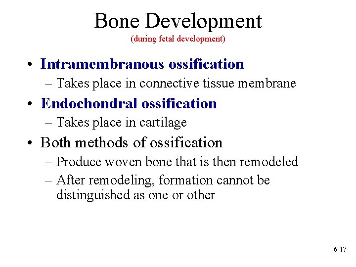 Bone Development (during fetal development) • Intramembranous ossification – Takes place in connective tissue