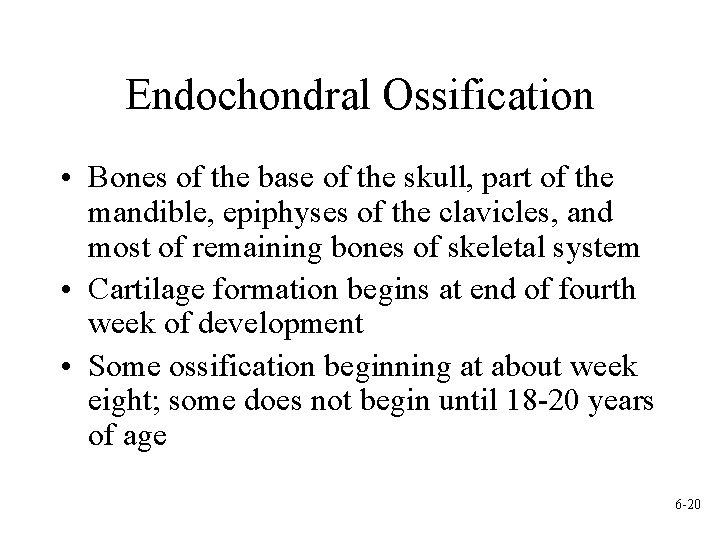 Endochondral Ossification • Bones of the base of the skull, part of the mandible,