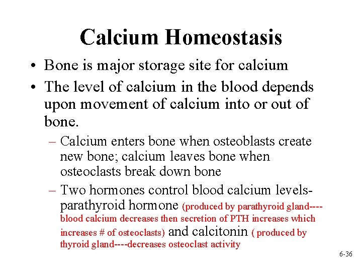 Calcium Homeostasis • Bone is major storage site for calcium • The level of