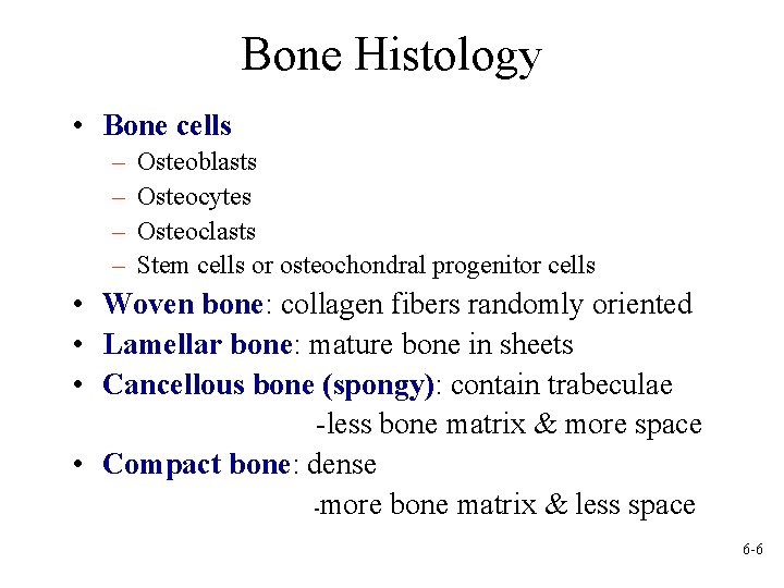 Bone Histology • Bone cells – – Osteoblasts Osteocytes Osteoclasts Stem cells or osteochondral