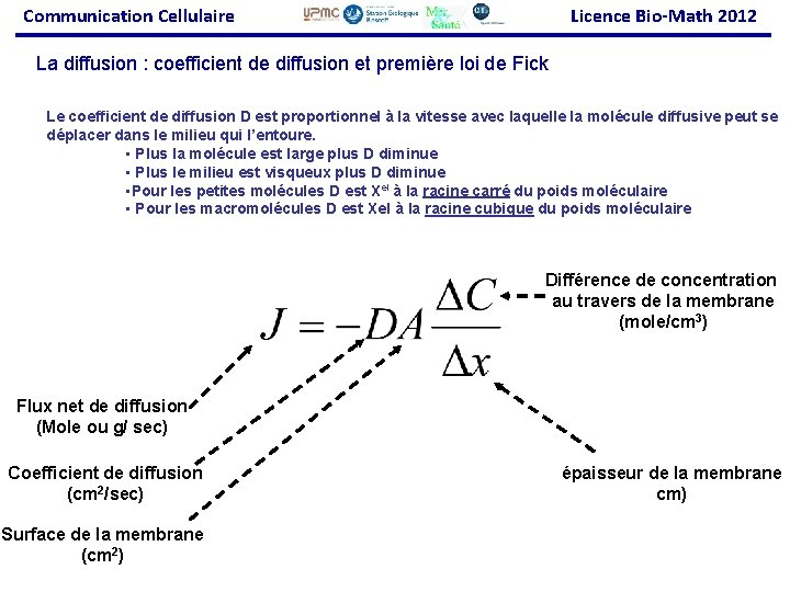 Communication Cellulaire Licence Bio-Math 2012 La diffusion : coefficient de diffusion et première loi