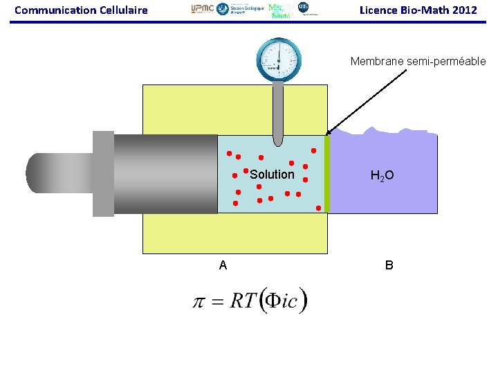 Communication Cellulaire Licence Bio-Math 2012 Membrane semi-perméable Solution A H 2 O B 