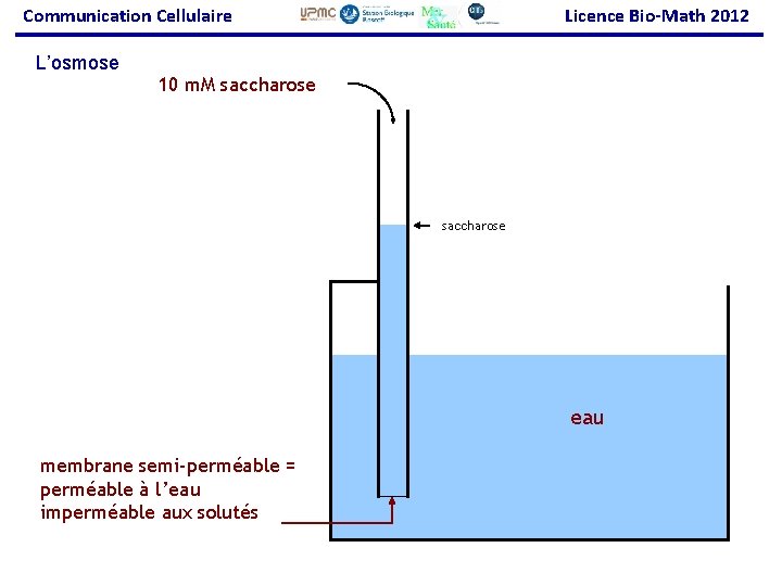 Communication Cellulaire L’osmose Licence Bio-Math 2012 10 m. M saccharose eau membrane semi-perméable =