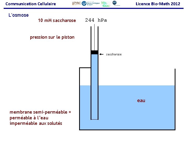 Communication Cellulaire L’osmose 10 m. M saccharose Licence Bio-Math 2012 244 h. Pa pression