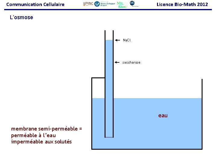 Communication Cellulaire Licence Bio-Math 2012 L’osmose Na. Cl saccharose eau membrane semi-perméable = perméable