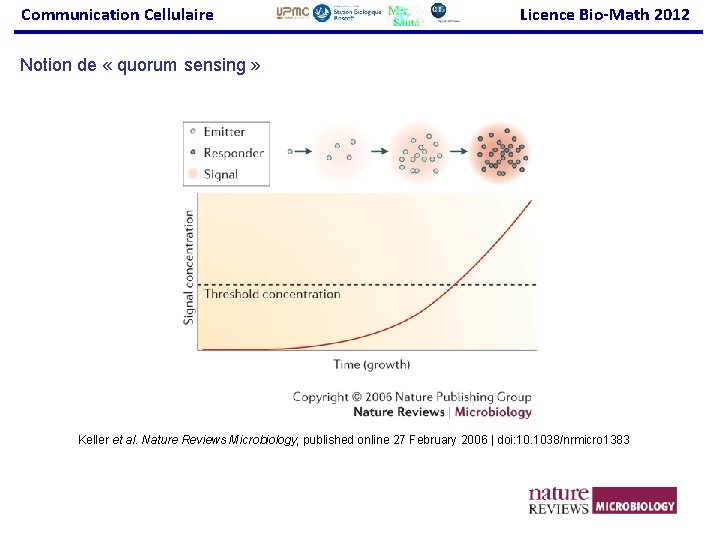 Communication Cellulaire Licence Bio-Math 2012 Notion de « quorum sensing » Keller et al.