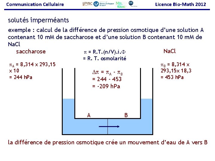 Communication Cellulaire Licence Bio-Math 2012 solutés imperméants exemple : calcul de la différence de