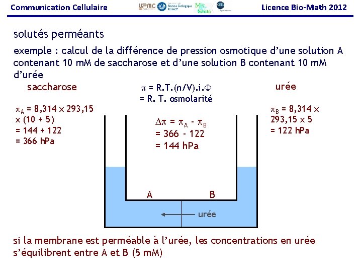 Communication Cellulaire Licence Bio-Math 2012 solutés perméants exemple : calcul de la différence de