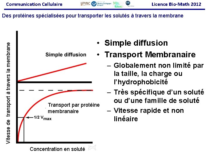 Communication Cellulaire Licence Bio-Math 2012 Vitesse de transport à travers la membrane Des protéines