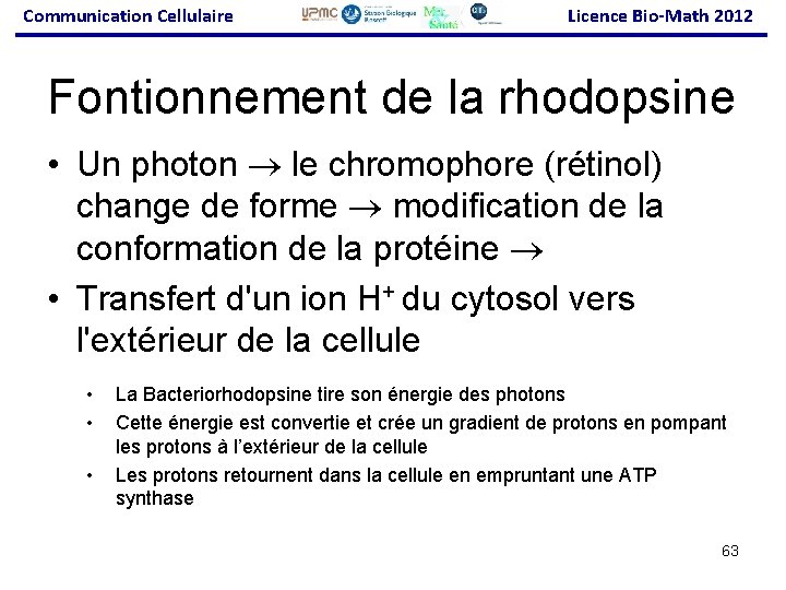 Communication Cellulaire Licence Bio-Math 2012 Fontionnement de la rhodopsine • Un photon le chromophore