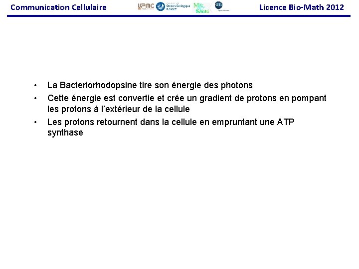 Communication Cellulaire • • • Licence Bio-Math 2012 La Bacteriorhodopsine tire son énergie des