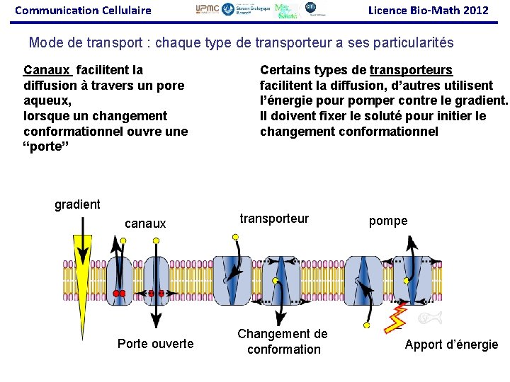 Communication Cellulaire Licence Bio-Math 2012 Mode de transport : chaque type de transporteur a