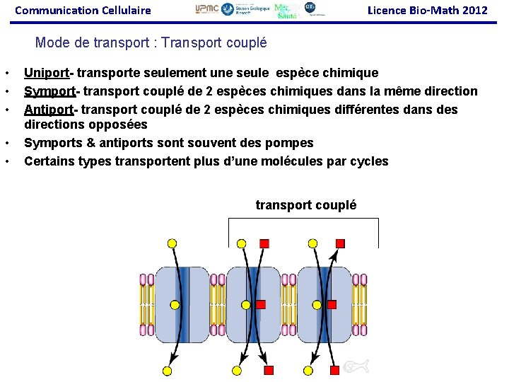 Communication Cellulaire Licence Bio-Math 2012 Mode de transport : Transport couplé • • •