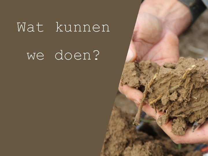 Wat kunnen we doen? 