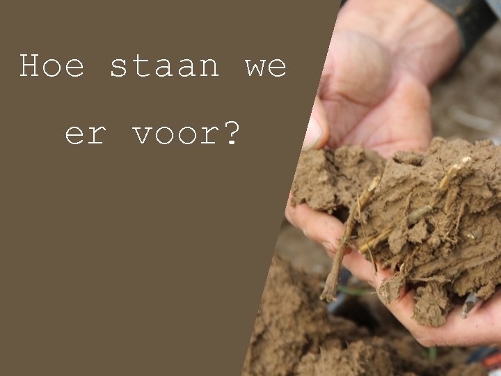 Hoe staan we er voor? 