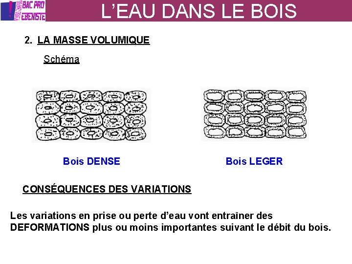 L’EAU DANS LE BOIS 2. LA MASSE VOLUMIQUE Schéma Bois DENSE Bois LEGER CONSÉQUENCES