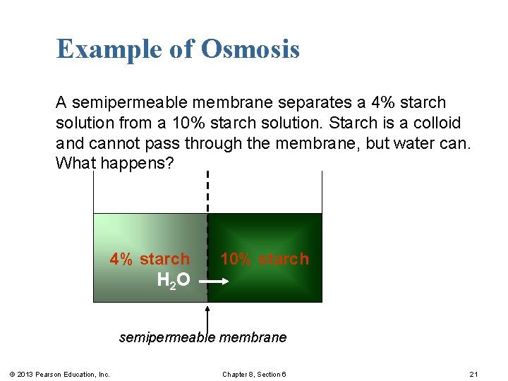 Example of Osmosis A semipermeable membrane separates a 4% starch solution from a 10%