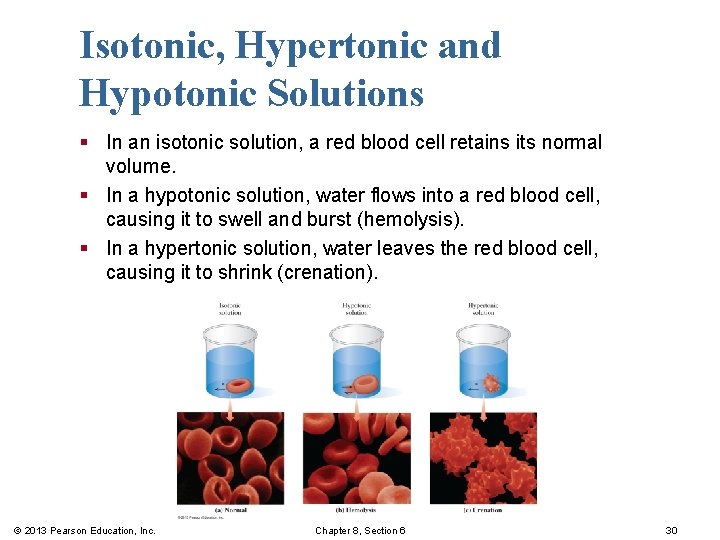 Isotonic, Hypertonic and Hypotonic Solutions § In an isotonic solution, a red blood cell