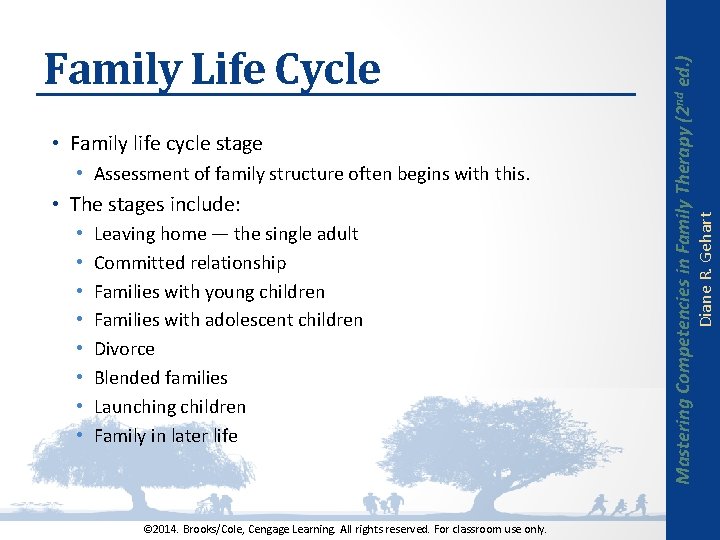  • Assessment of family structure often begins with this. • The stages include: