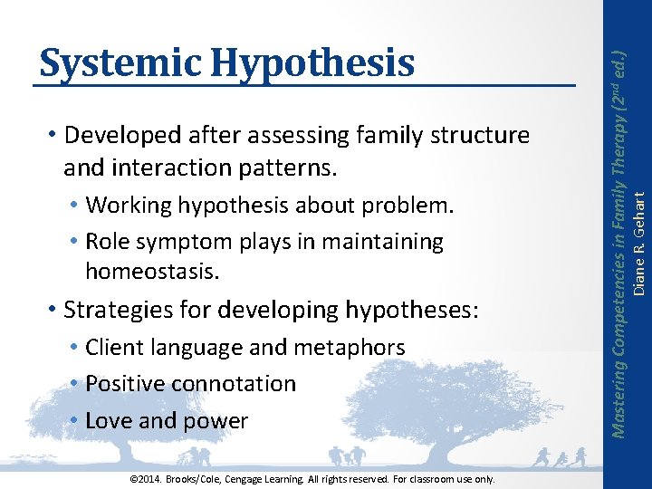  • Working hypothesis about problem. • Role symptom plays in maintaining homeostasis. •
