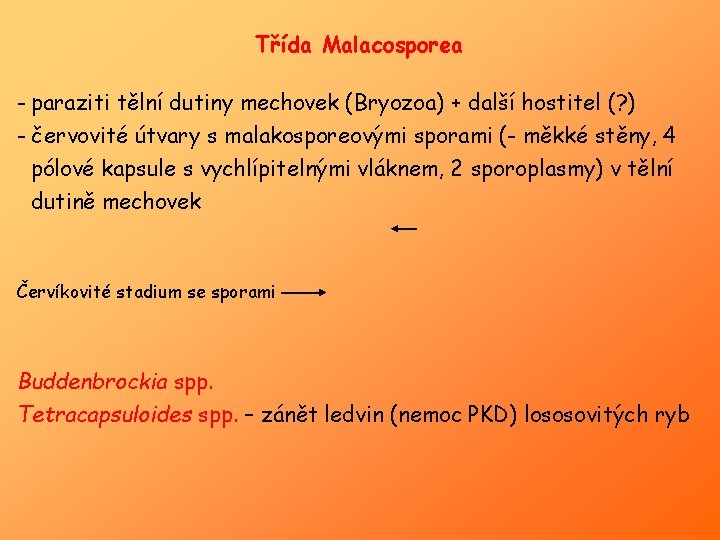 Třída Malacosporea - paraziti tělní dutiny mechovek (Bryozoa) + další hostitel (? ) -