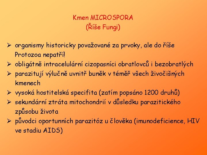 Kmen MICROSPORA (Říše Fungi) Ø organismy historicky považované za prvoky, ale do říše Protozoa