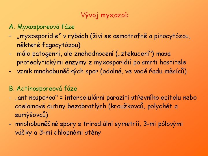 Vývoj myxozoí: A. Myxosporeová fáze – „myxosporidie“ v rybách (živí se osmotrofně a pinocytózou,