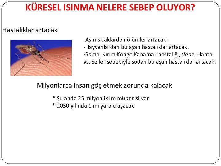 KÜRESEL ISINMA NELERE SEBEP OLUYOR? Hastalıklar artacak -Aşırı sıcaklardan ölümler artacak. -Hayvanlardan bulaşan hastalıklar