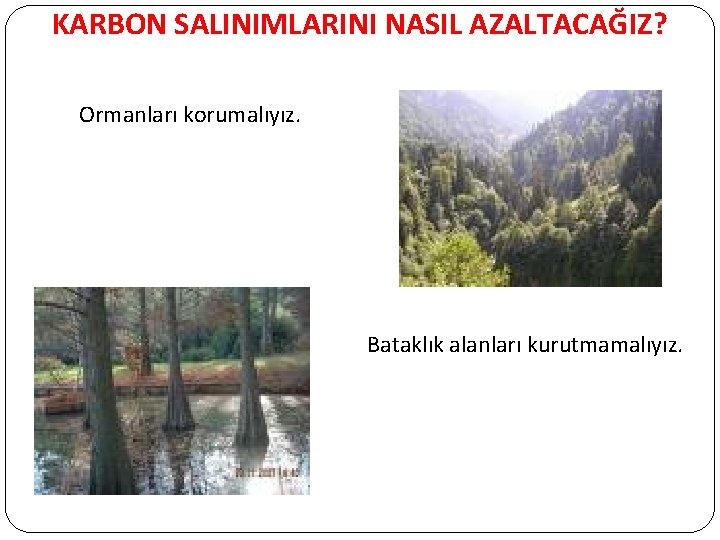 KARBON SALINIMLARINI NASIL AZALTACAĞIZ? Ormanları korumalıyız. Bataklık alanları kurutmamalıyız. 