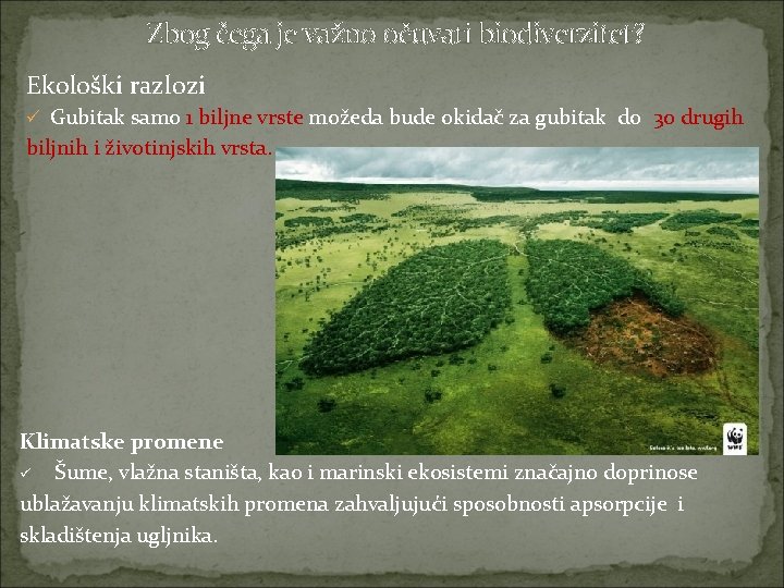 Zbog čega je važno očuvati biodiverzitet? Ekološki razlozi ü Gubitak samo 1 biljne vrste