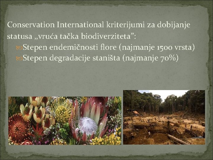 Conservation International kriterijumi za dobijanje statusa ‚‚vruća tačka biodiverziteta”: Stepen endemičnosti flore (najmanje 1500