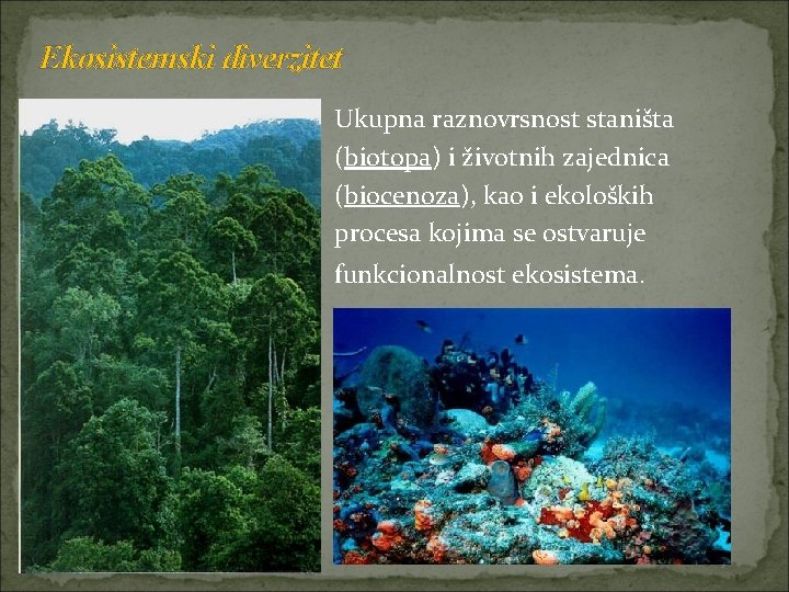 Ekosistemski diverzitet Ukupna raznovrsnost staništa (biotopa) i životnih zajednica (biocenoza), kao i ekoloških procesa