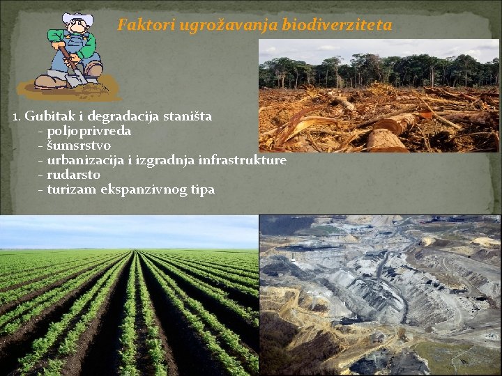 Faktori ugrožavanja biodiverziteta 1. Gubitak i degradacija staništa - poljoprivreda - šumsrstvo - urbanizacija