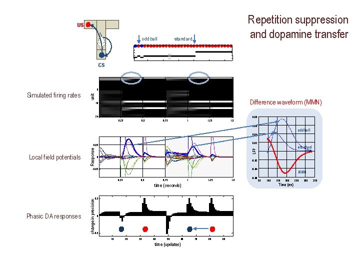 Repetition suppression and dopamine transfer US standard oddball CS 8 unit Simulated firing rates Repetition suppression and dopamine transfer US standard oddball CS 8 unit Simulated firing rates