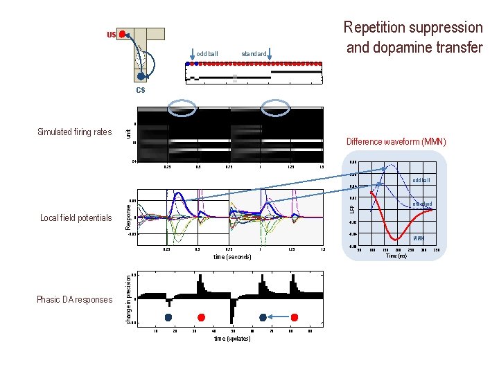 Repetition suppression and dopamine transfer US standard oddball CS 8 unit Simulated firing rates