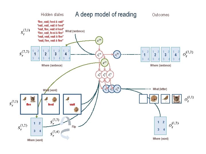 A deep model of reading Hidden states Outcomes “flee, wait, feed & wait” “wait,